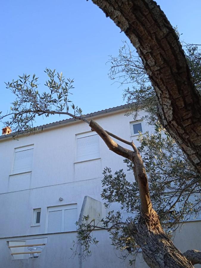 Apartments Irena Božava Εξωτερικό φωτογραφία